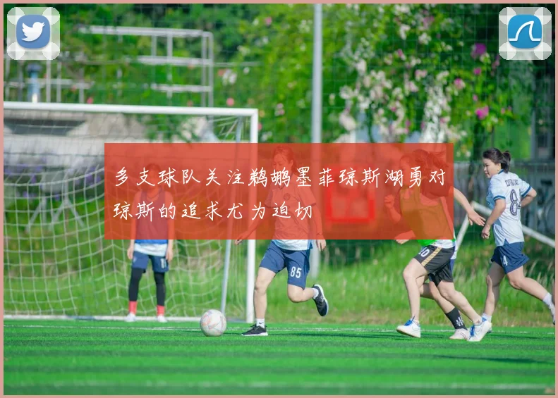 多支球队关注鹈鹕墨菲琼斯湖勇对琼斯的追求尤为迫切