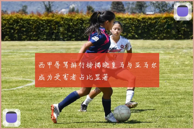 西甲辱骂排行榜揭晓皇马与亚马尔成为受害者占比显著