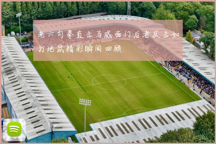 老六勾拳直击马威面门后者反击如打地鼠精彩瞬间回顾