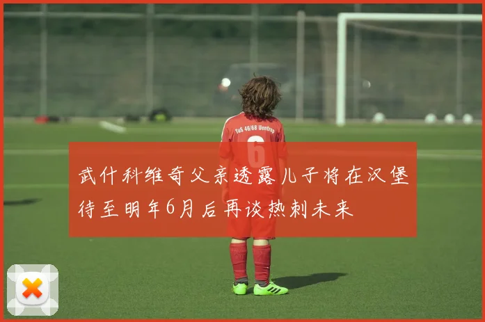 武什科维奇父亲透露儿子将在汉堡待至明年6月后再谈热刺未来